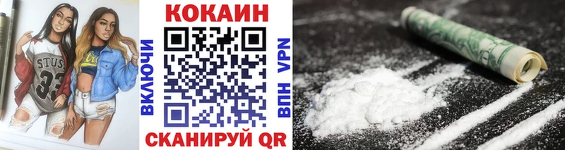 Купить закладки  Палласовка  Cocaine Fish Scale 