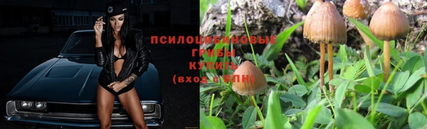 spice Заводоуковск