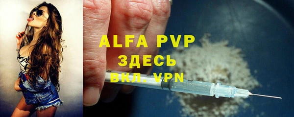 прущие грибы Заволжск