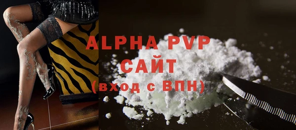 прущие грибы Заволжск
