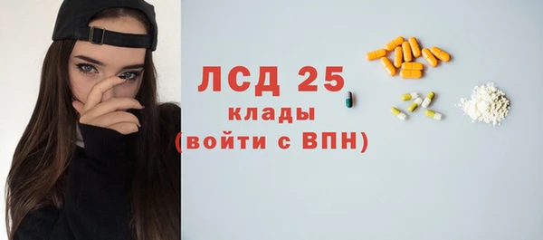 прущие грибы Заволжск