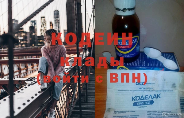 прущие грибы Заволжск