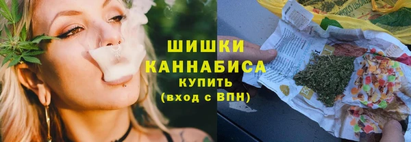прущие грибы Заволжск
