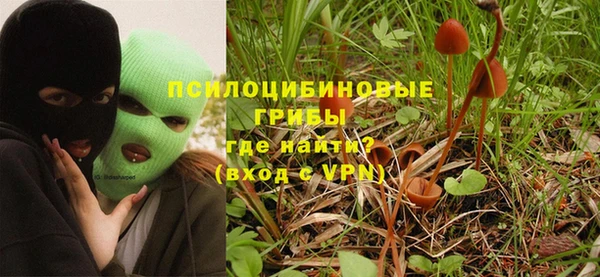 прущие грибы Заволжск