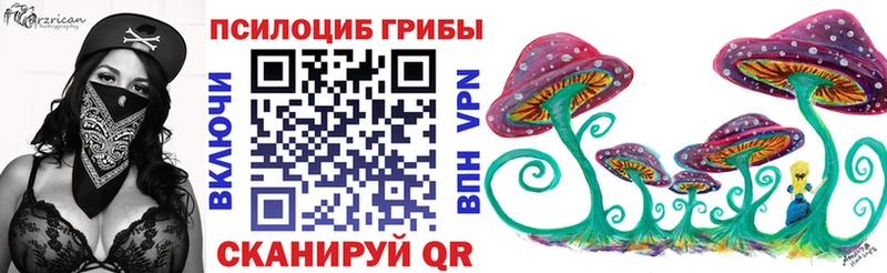 Купить закладки  Палласовка  Галлюциногенные грибы мухоморы 